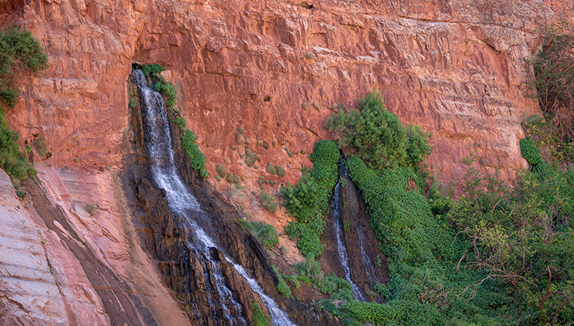 Springs gushing along the Colorado River. M. JENKINS, NATIONAL PARK SERVICE Springs gushing along the Colorado River. M. JENKINS, NATIONAL PARK SERVICE